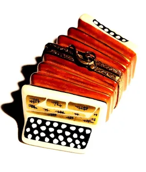 Accordian Instrument