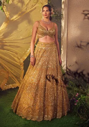 Amber gold embroidered lehenga set