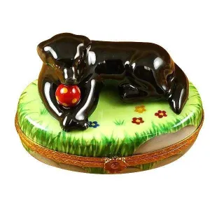 Black Lab Dog with Ball