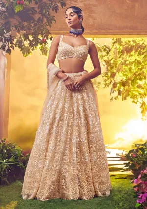Dull ivory tulle lehenga set