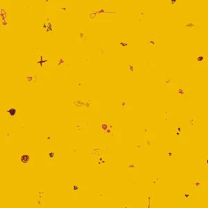 Giucy Giuce Fabric | Motley | Simpson