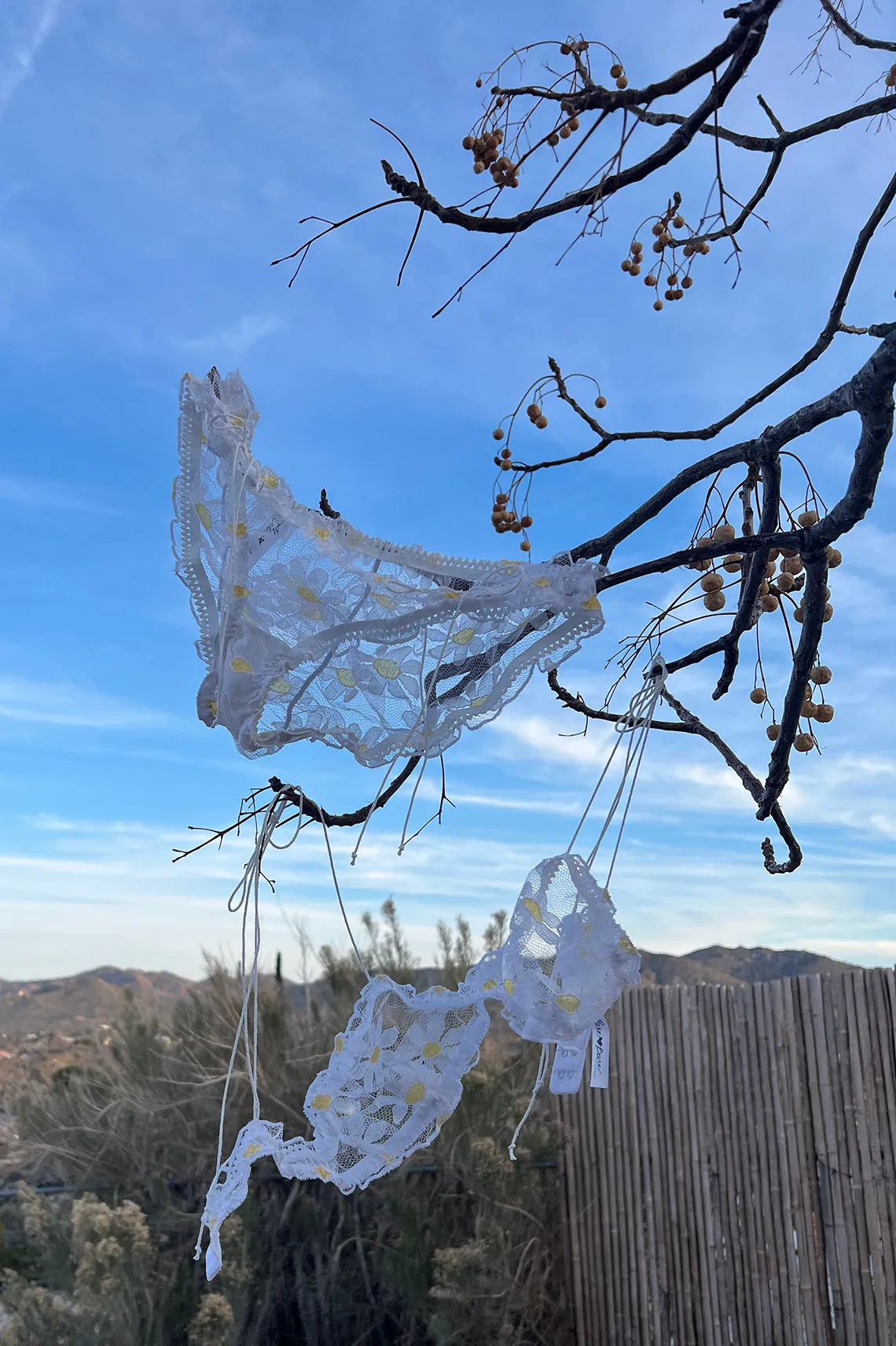 LAST ONE! Anaphora Panty in Sheer Upcycled Vintage Daisy Tulle Mesh