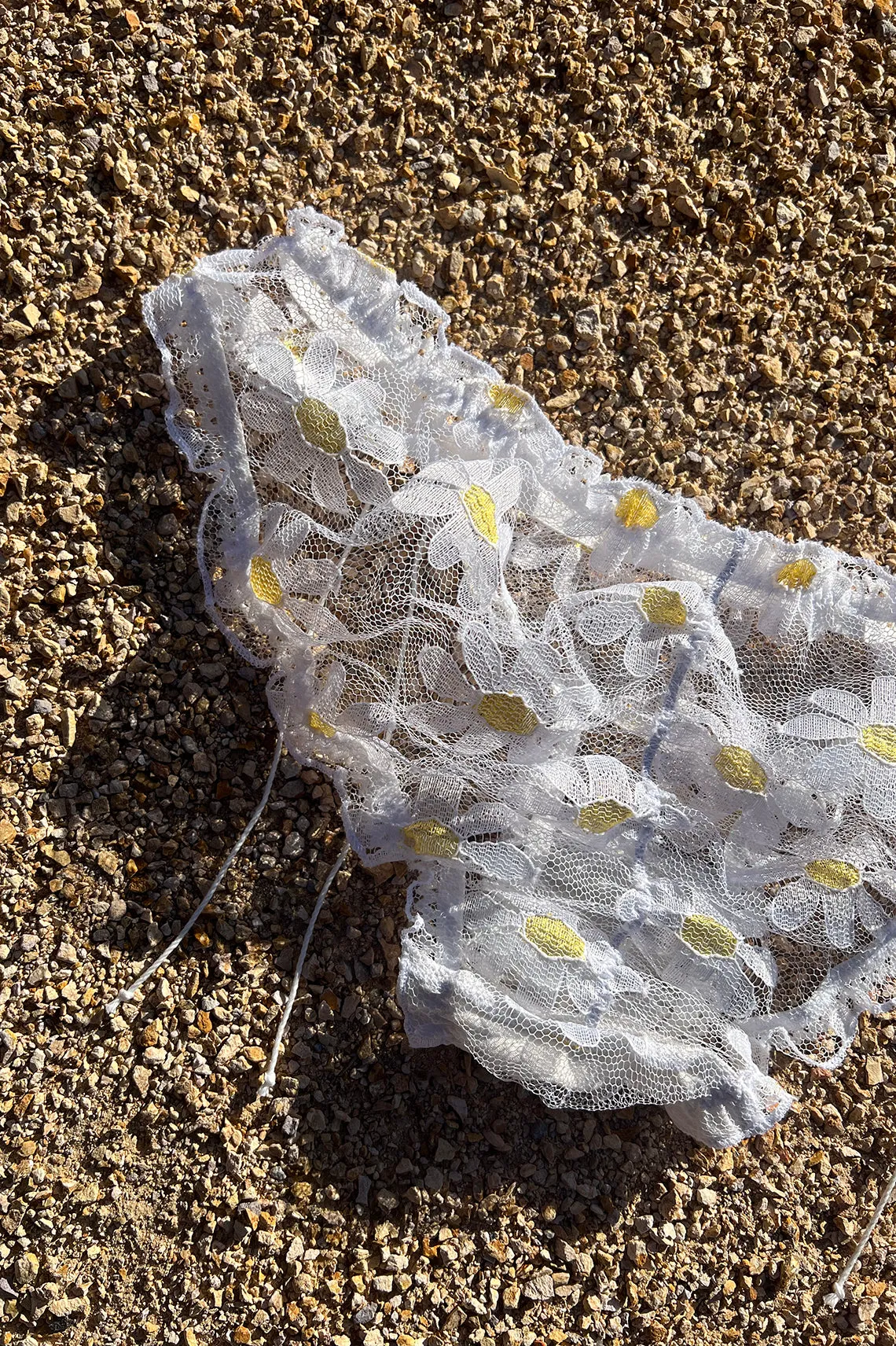 LAST ONE! Anaphora Panty in Sheer Upcycled Vintage Daisy Tulle Mesh