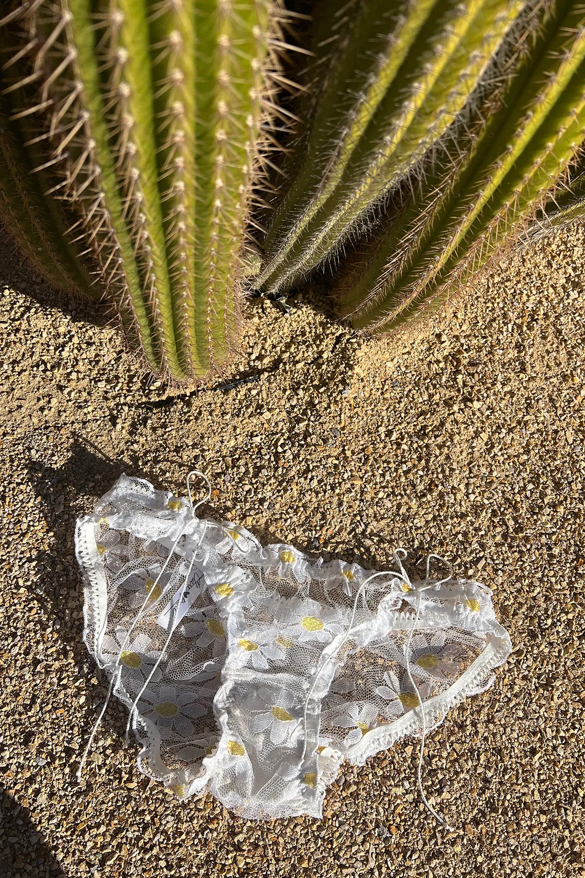 LAST ONE! Anaphora Panty in Sheer Upcycled Vintage Daisy Tulle Mesh