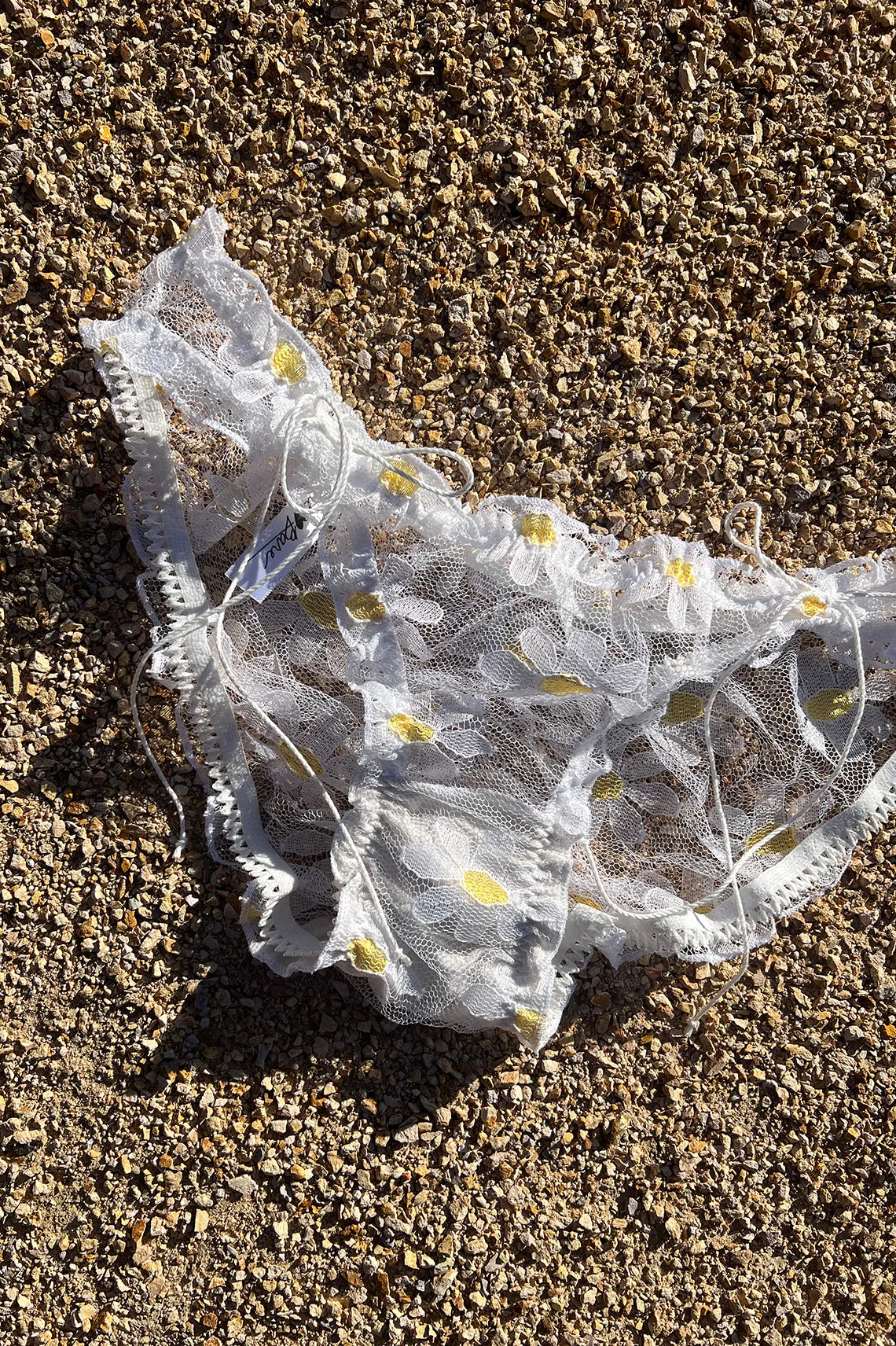LAST ONE! Anaphora Panty in Sheer Upcycled Vintage Daisy Tulle Mesh