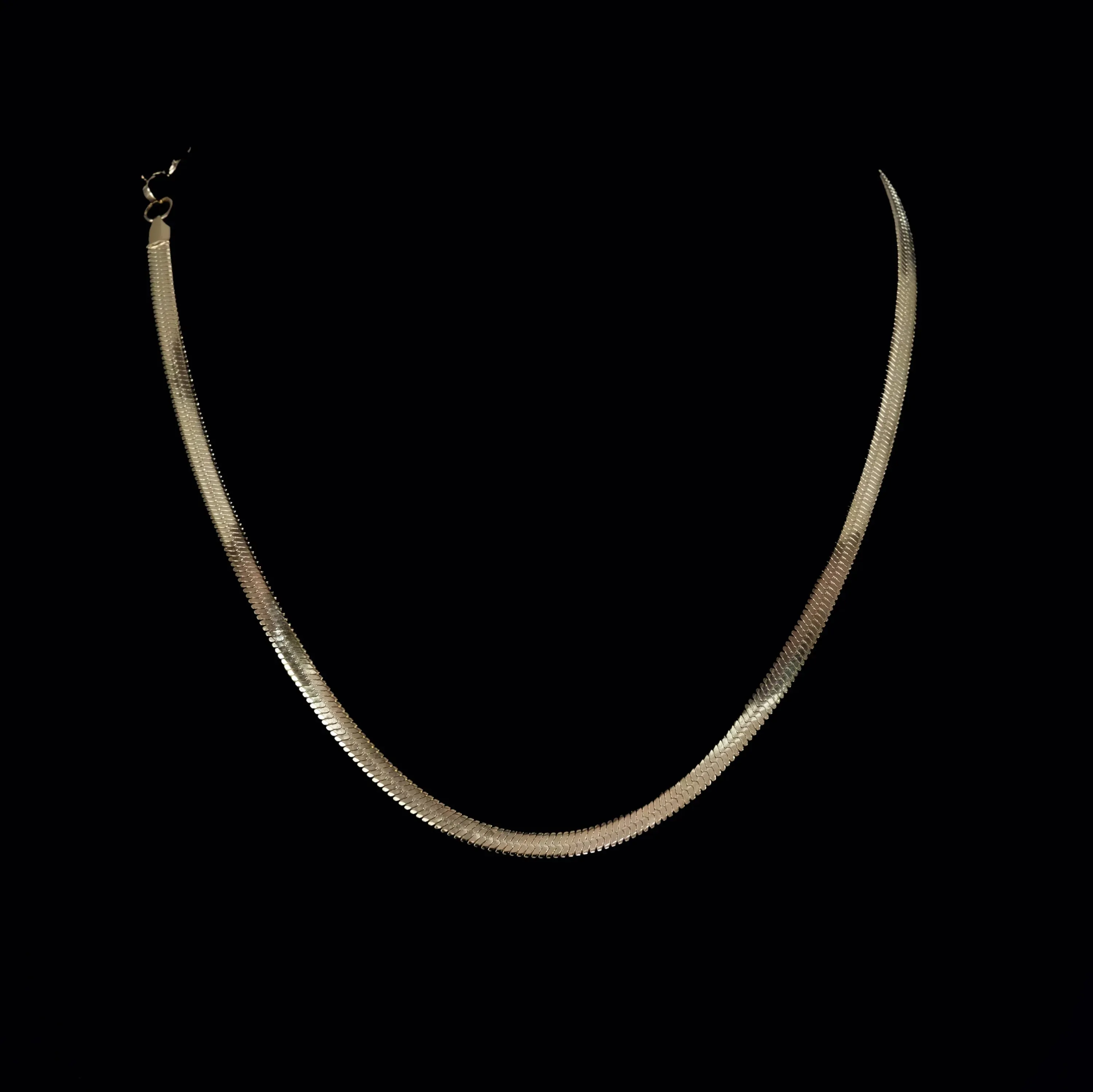 Lucio Golden Herringbone Chain Necklace
