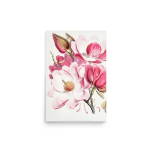 Magnolia Campbellii by Artokoloro – Botanical Art Poster (Unframed)