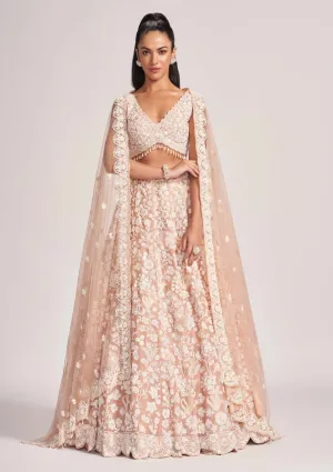 Pale blush embroidered lehenga set