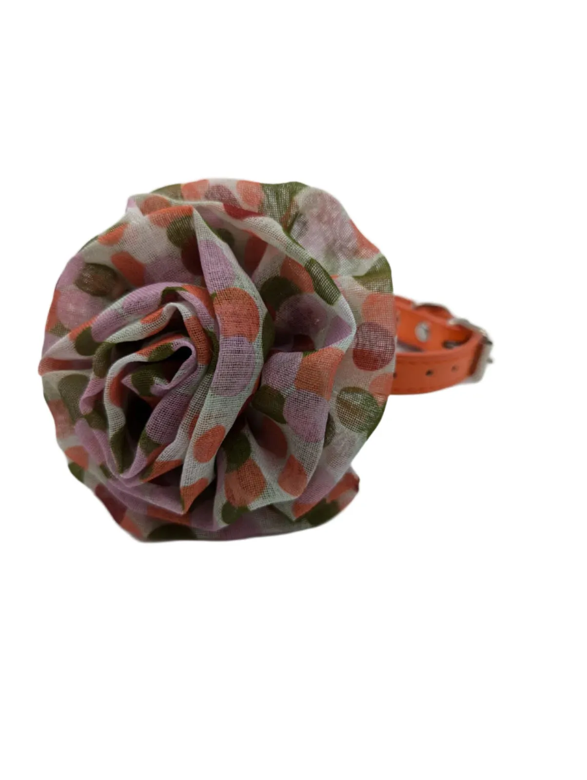 Poochella Brassica Pet Collar