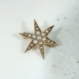 Radiant Little Gold & Pearl Star Brooch