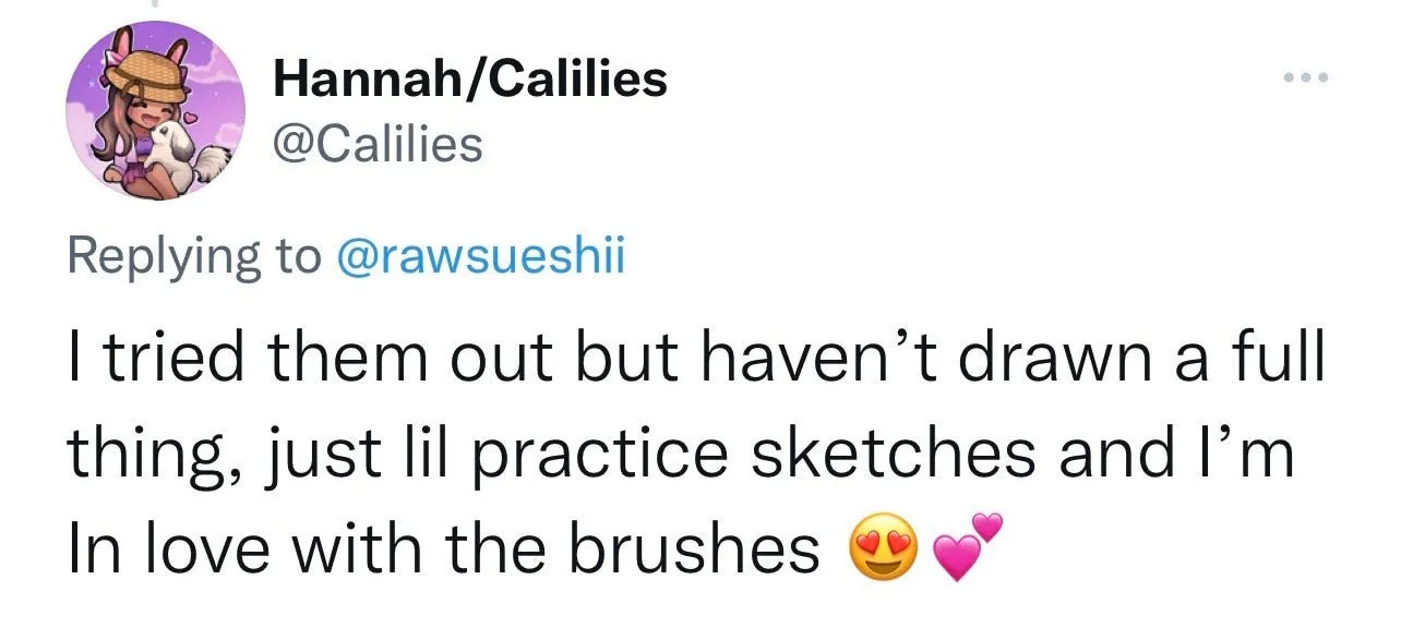 RawSueshii Procreate Brushes Set