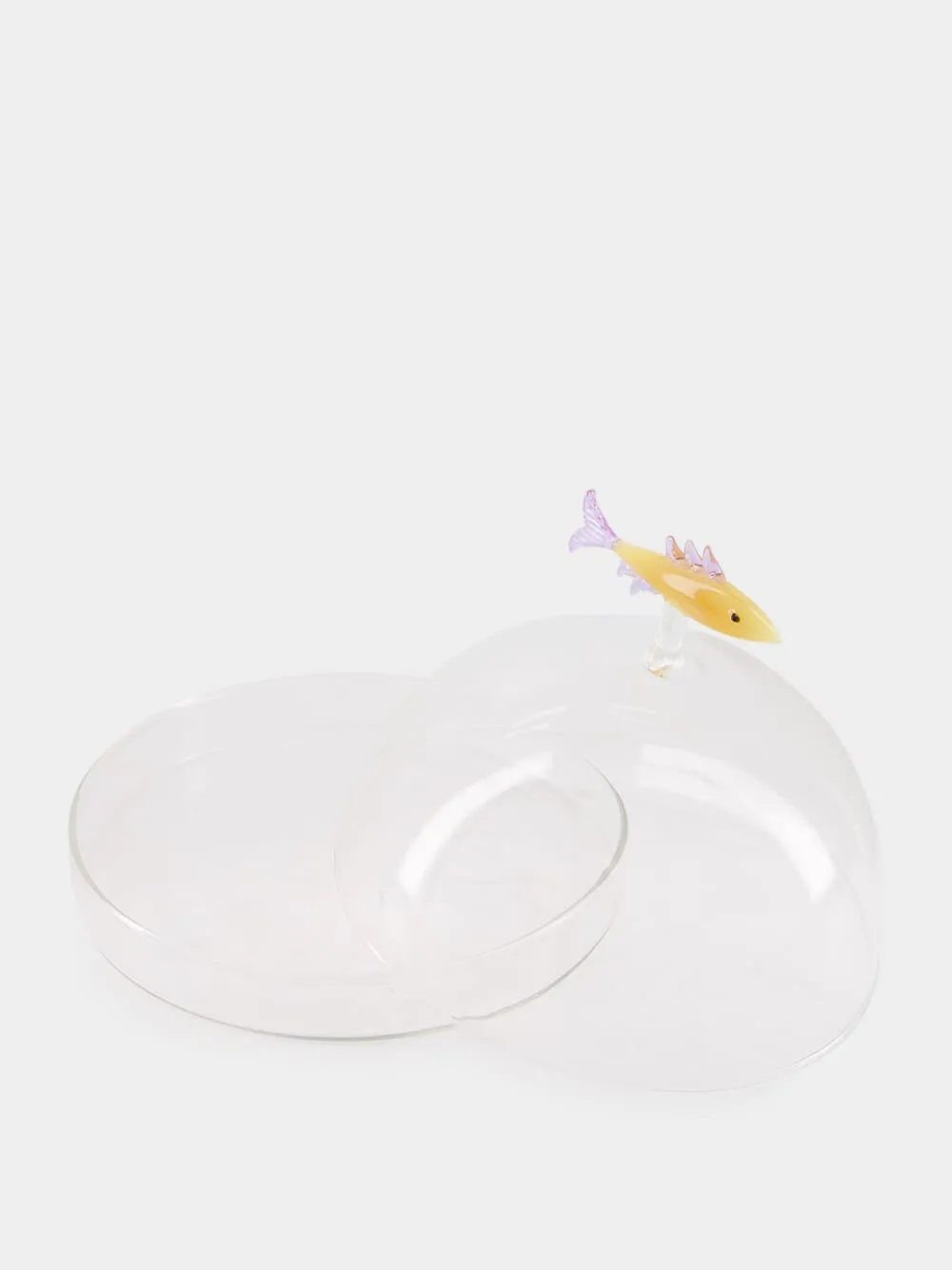 Sardine Dome with Dish