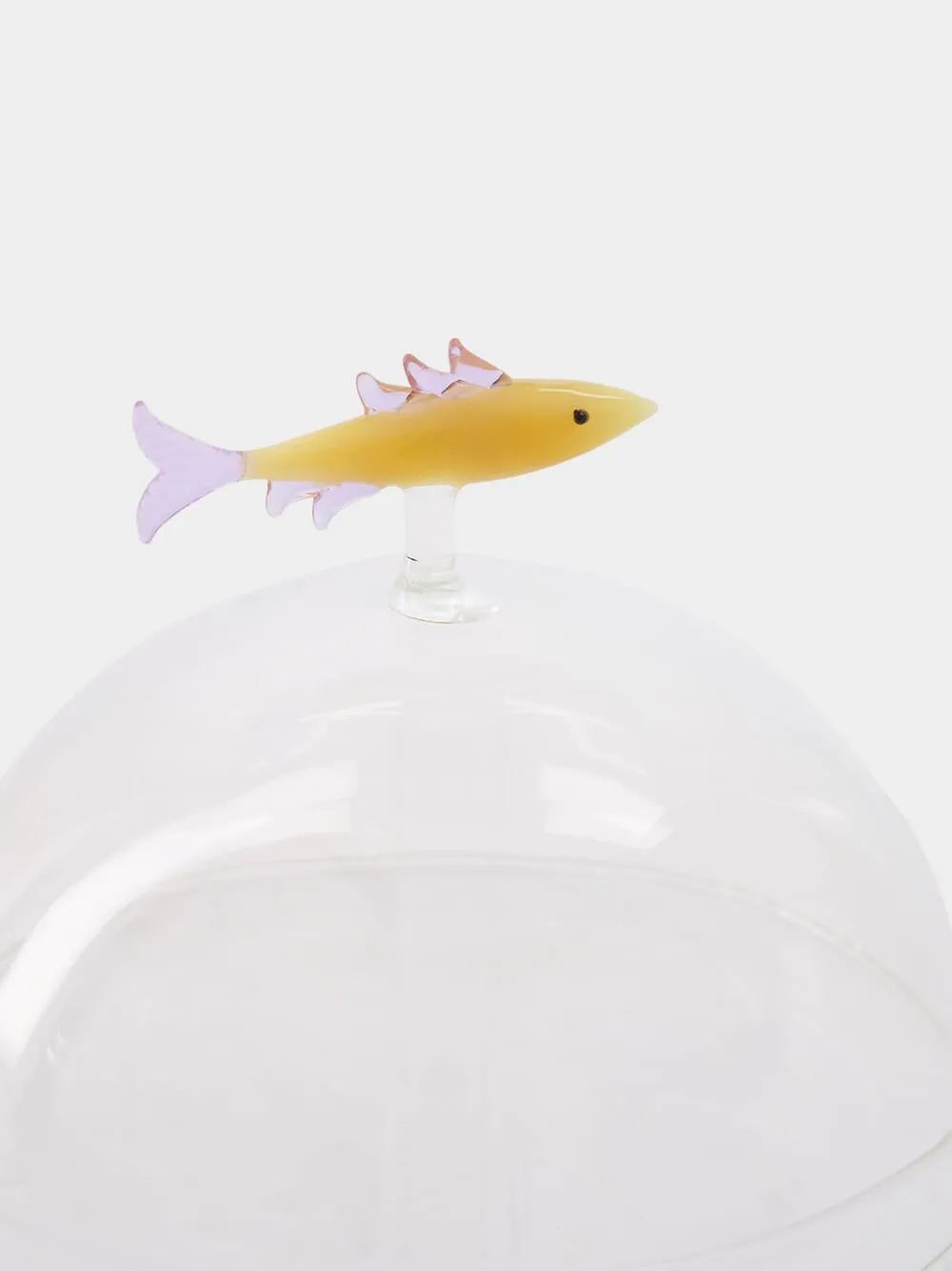 Sardine Dome with Dish