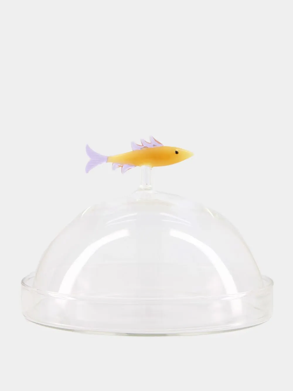 Sardine Dome with Dish