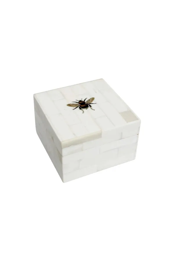 Square Bee Box