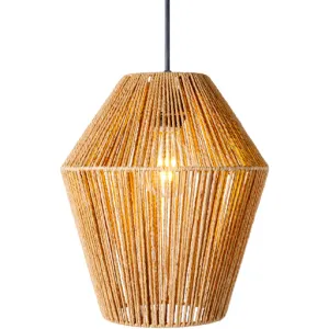 Stylish Globe Pendant Light