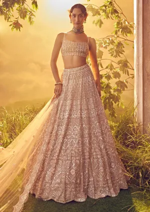 Taupe organza embroidered lehenga set