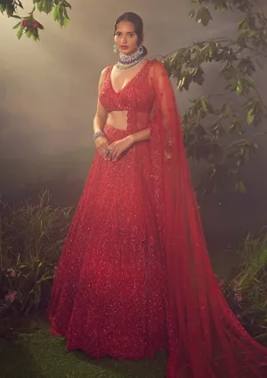 True red tulle embroidered lehenga set