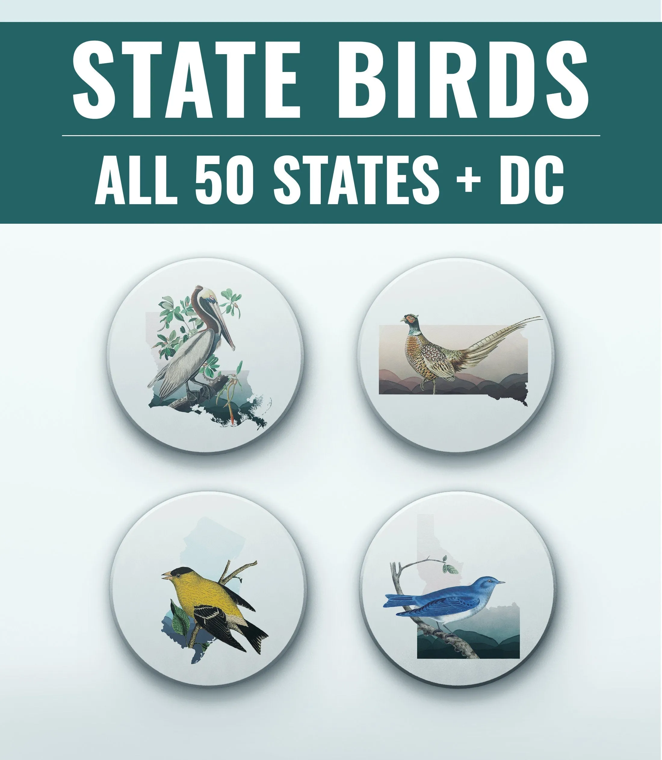 Wisconsin State Gift: Bird Coaster Set, Unique Wisconsin Coasters, Home Decor, Perfect Wisconsin Gifts for Bird Lovers