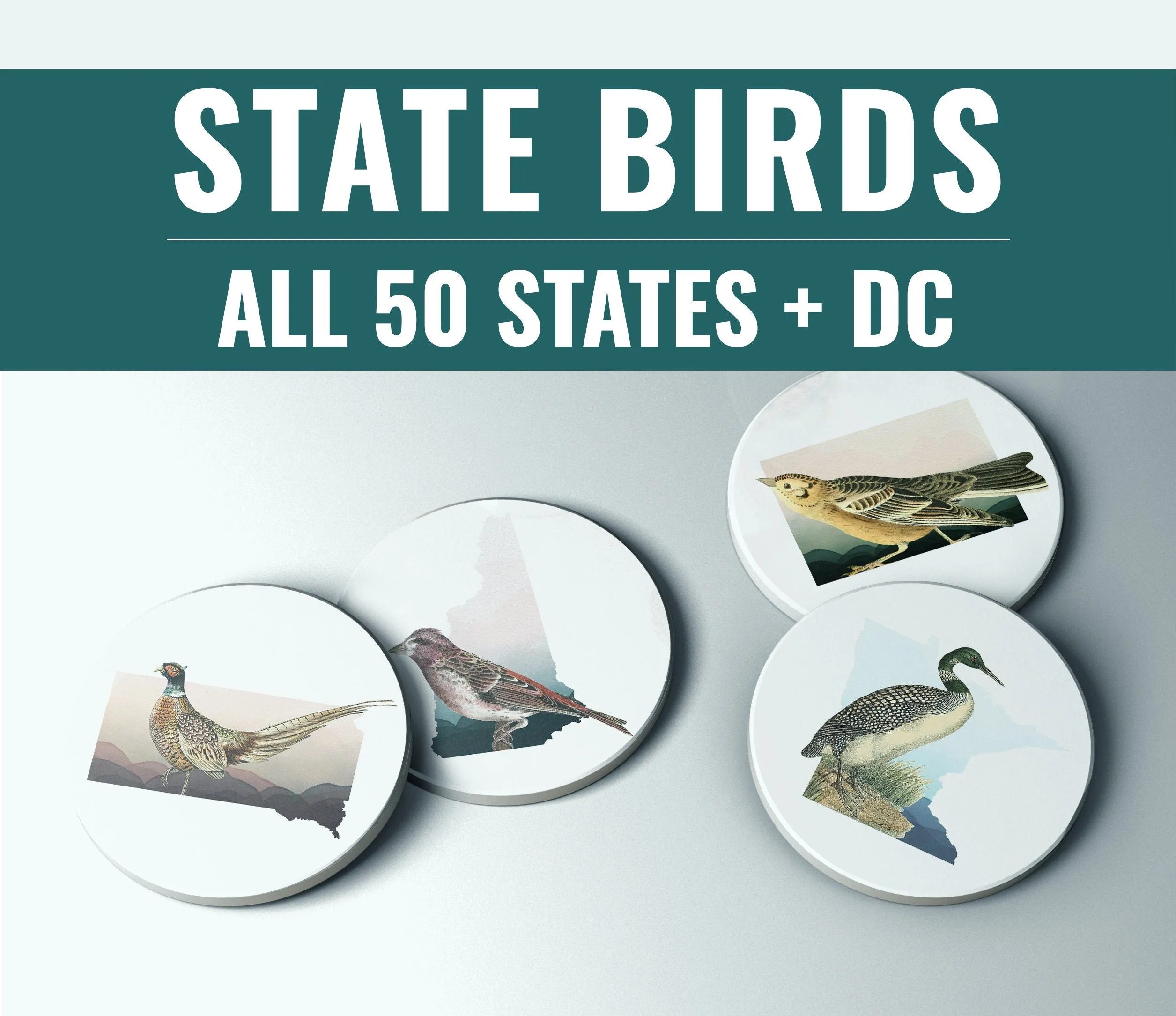 Wisconsin State Gift: Bird Coaster Set, Unique Wisconsin Coasters, Home Decor, Perfect Wisconsin Gifts for Bird Lovers