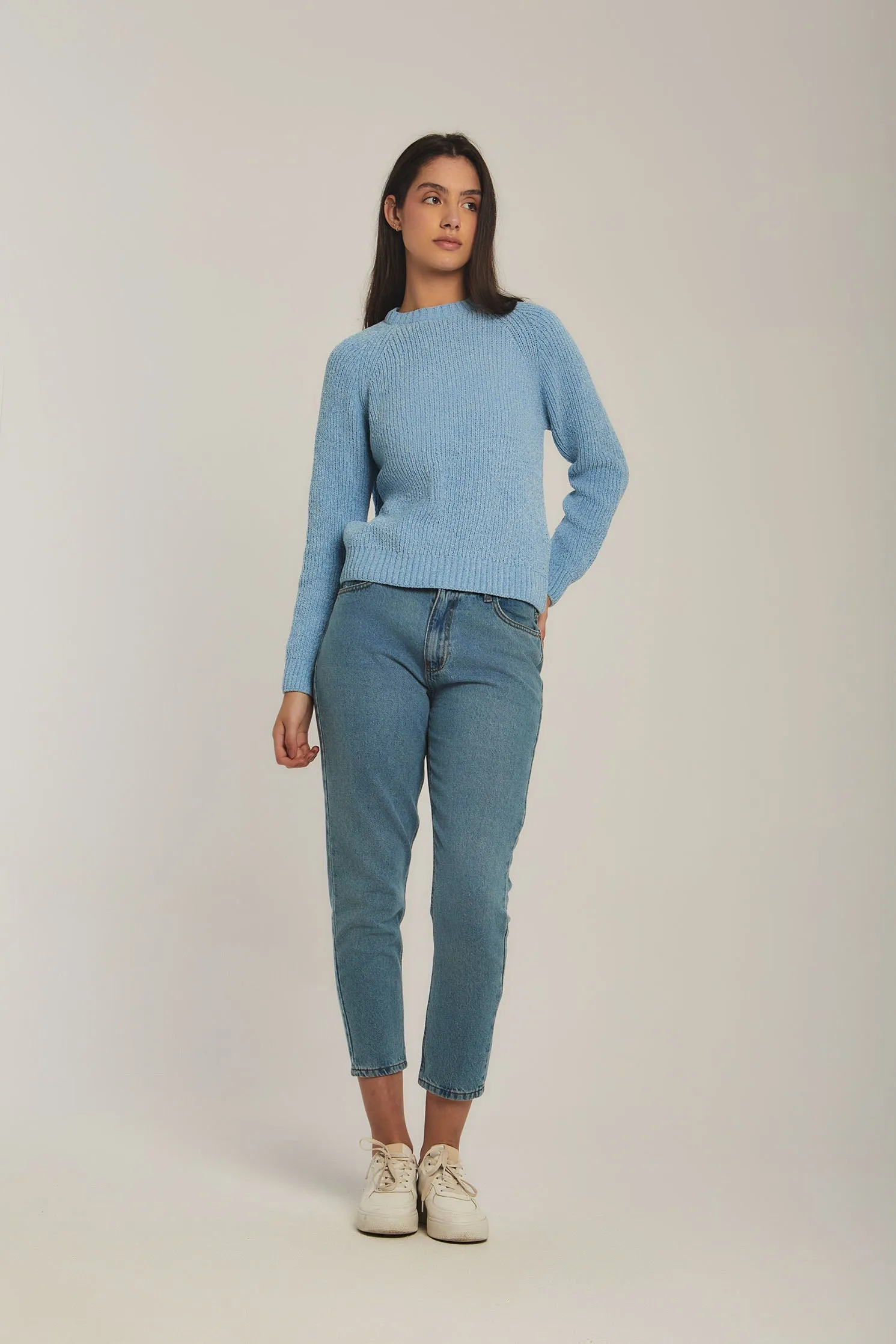 Women Sweat Shirt Crew Neck RegularBlue