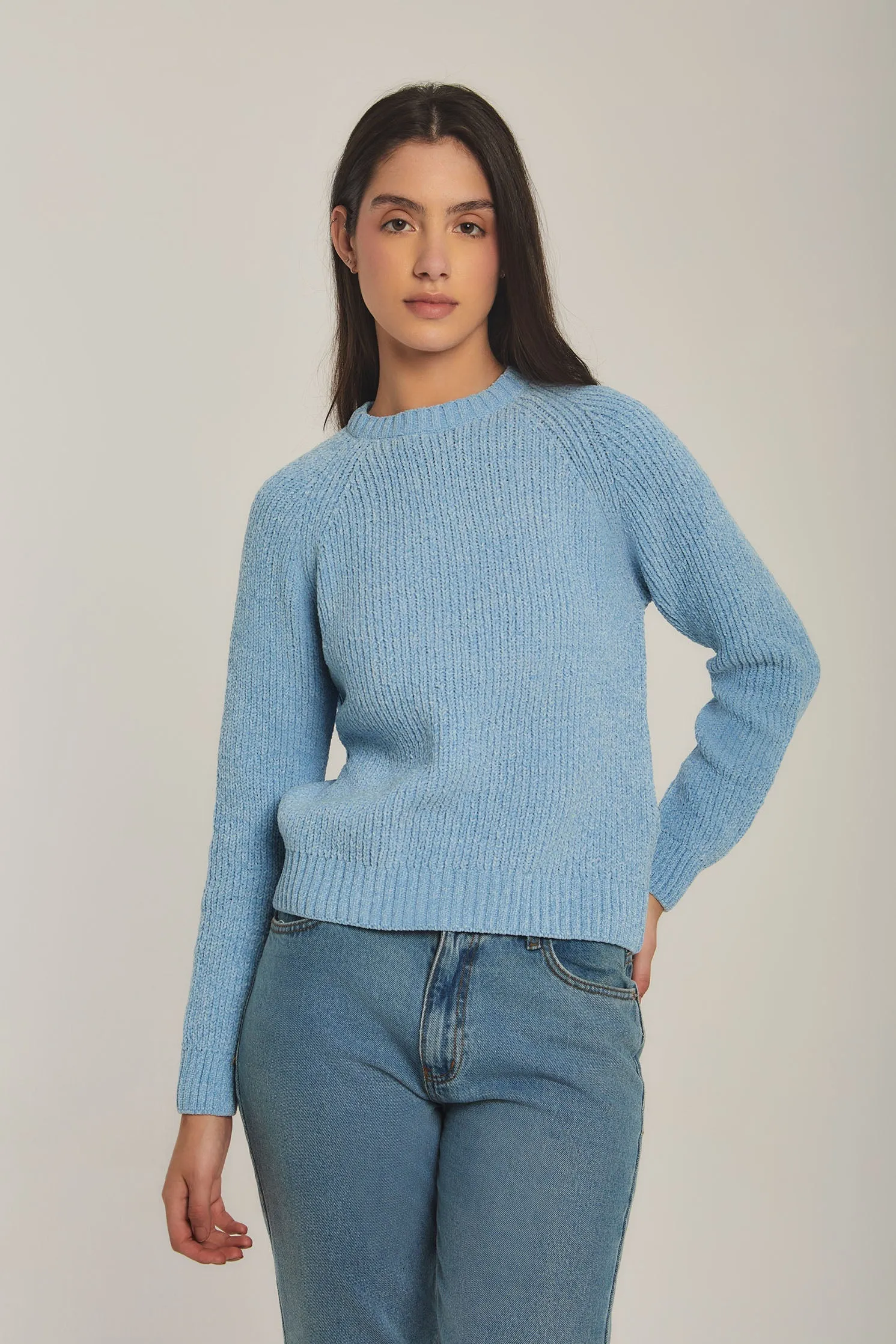 Women Sweat Shirt Crew Neck RegularBlue