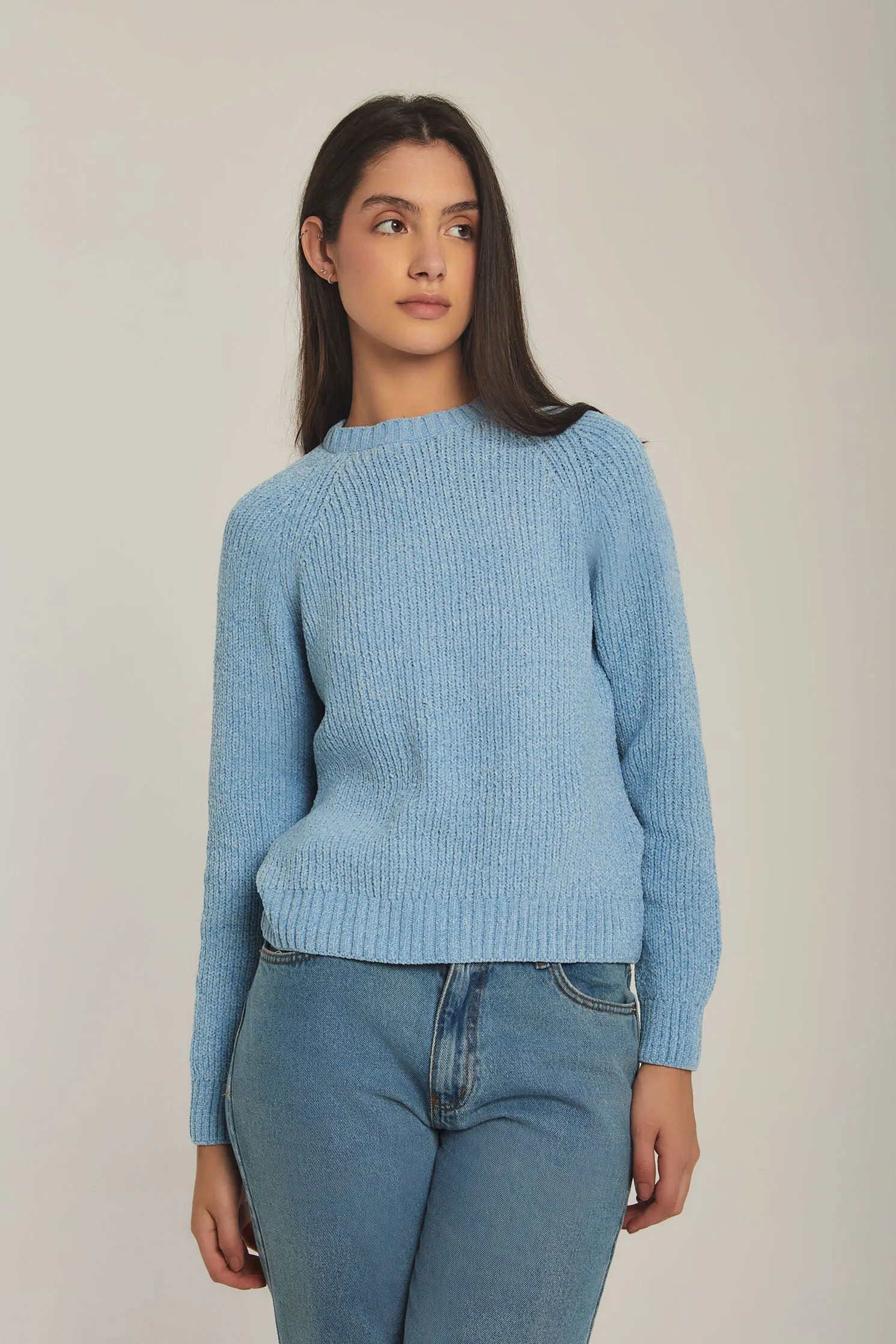 Women Sweat Shirt Crew Neck RegularBlue